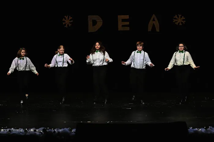 Dance Elements Academy Picture 2