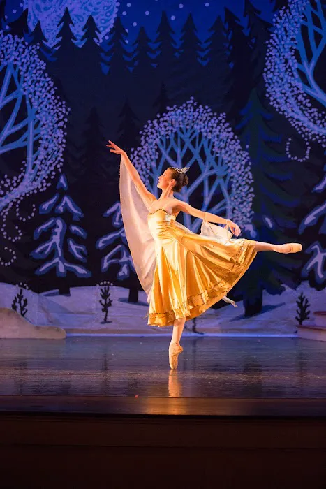 Gainesville Ballet Company Picture 1