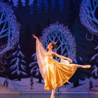 Gainesville Ballet Company ico