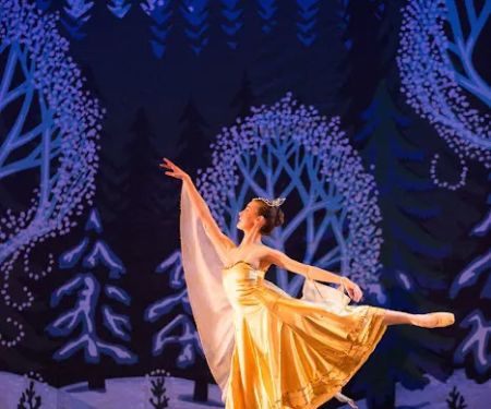 Gainesville Ballet Company