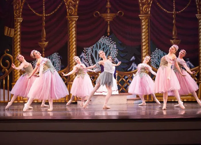 Gainesville Ballet Company Picture 2