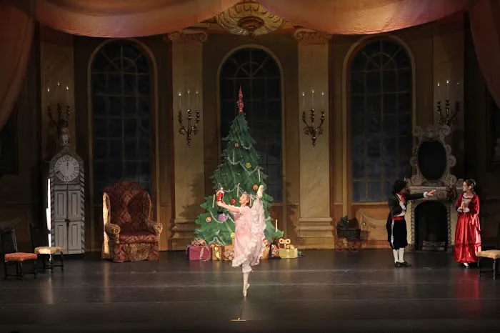 Kingsport Ballet Picture 2