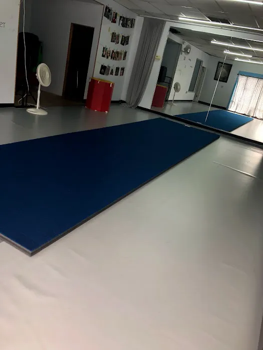Precision Dance Center of the Arts Picture 7