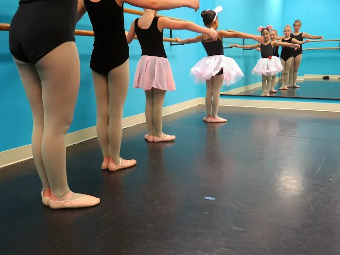 ALICATS Dance & More Picture 2