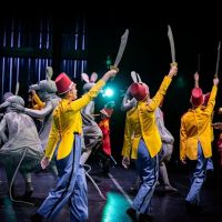Columbia County Ballet ico