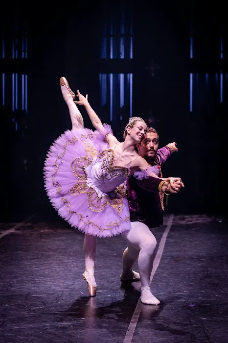Columbia County Ballet Picture 10