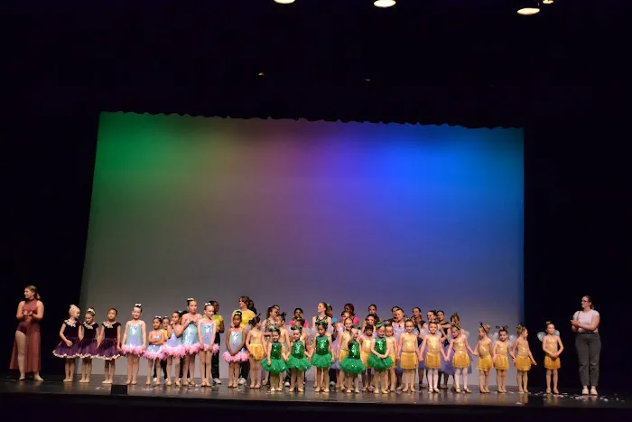 Free Movement Dance Studio Picture 1