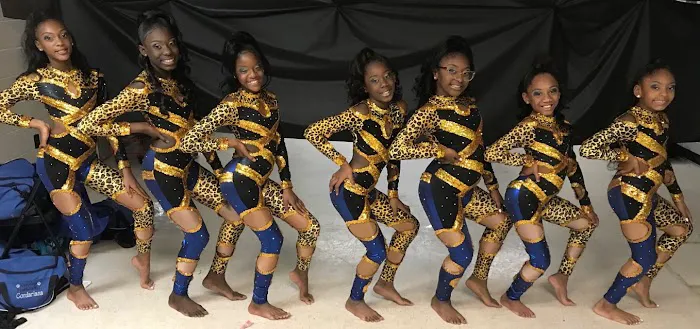 The Pantherette Palace Dance Academy Picture 4