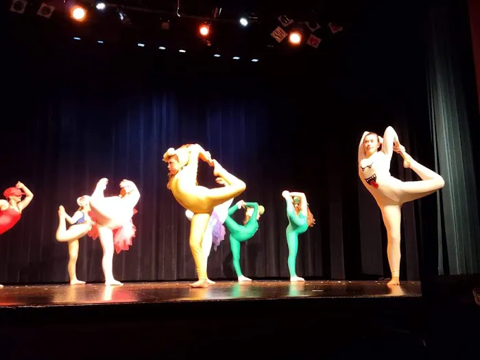 Gotta Dance Picture 4