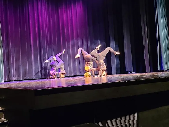 Gotta Dance Picture 5