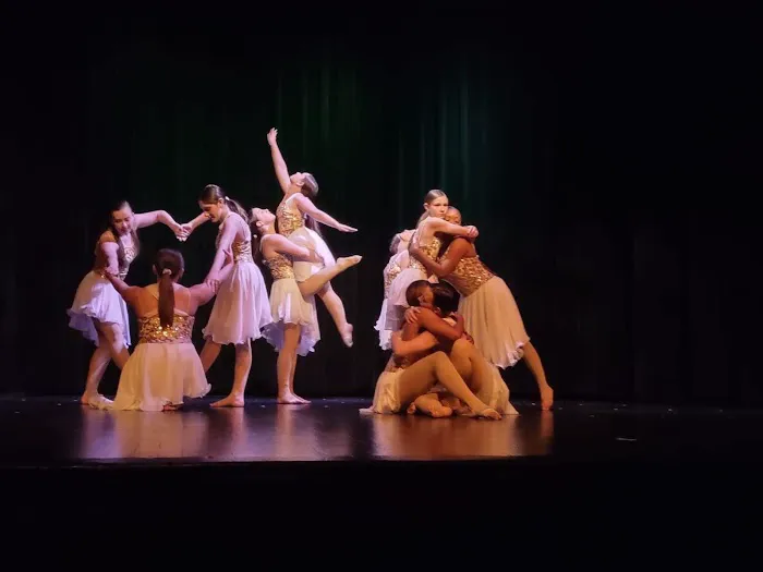 Gotta Dance Picture 7