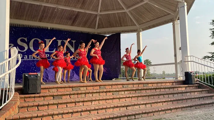 SOLINA Dance Productions-Washington Picture 1