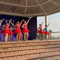 SOLINA Dance Productions-Washington ico
