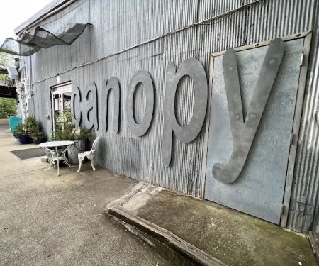 Canopy Studio