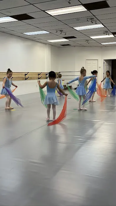 The European Ballet School Picture 5