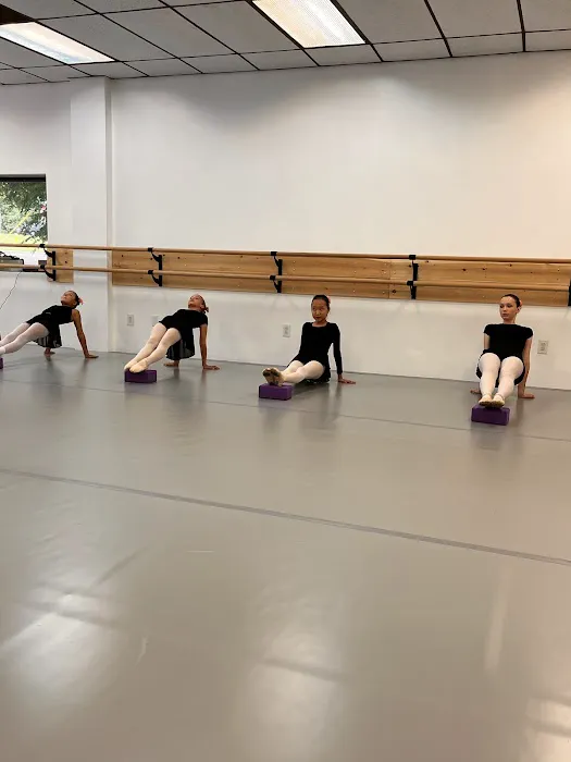 The European Ballet School Picture 4