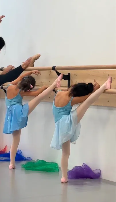 The European Ballet School Picture 7
