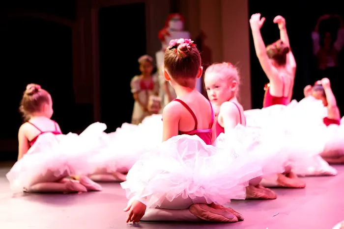 Suwanee Academy of the Arts Picture 10