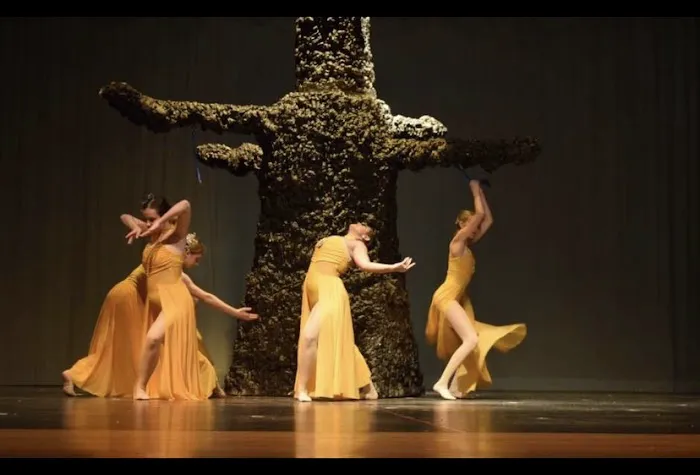 Cumming Dance Academy Picture 1