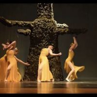 Cumming Dance Academy ico