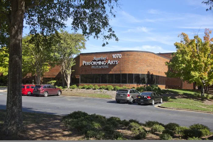 Gwinnett Ballet Theatre Picture 2