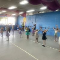 Dream Dance Studio, Inc. ico