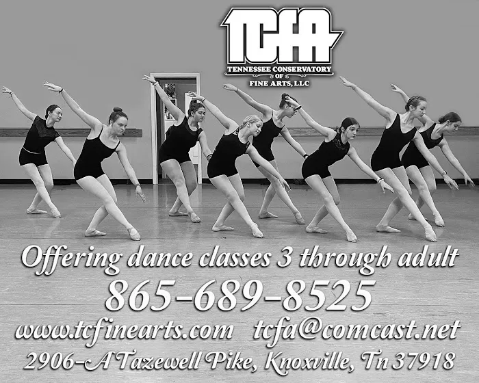 Tenn Conservatory of Fine Arts Picture 8