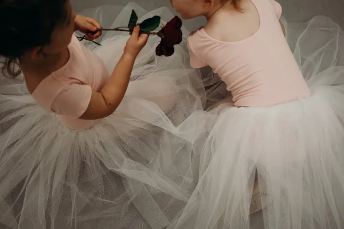 Still Pointe Ballet Picture 1