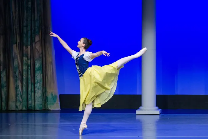 Still Pointe Ballet Picture 3