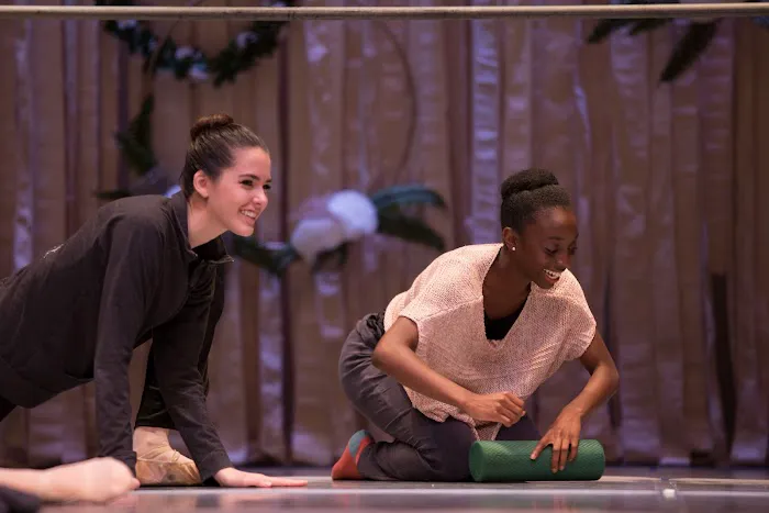 Still Pointe Ballet Picture 4