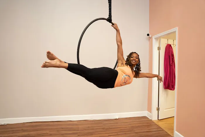 Spice Pole + Aerial Fitness Picture 2