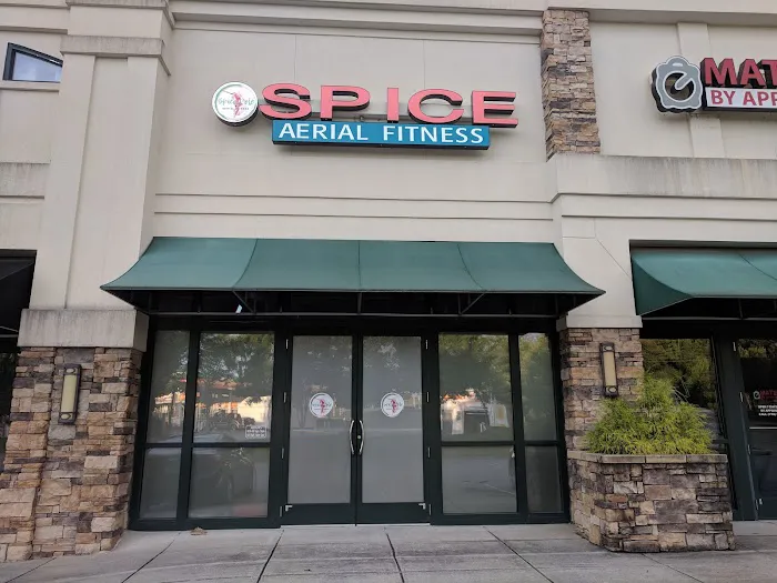 Spice Pole + Aerial Fitness Picture 1