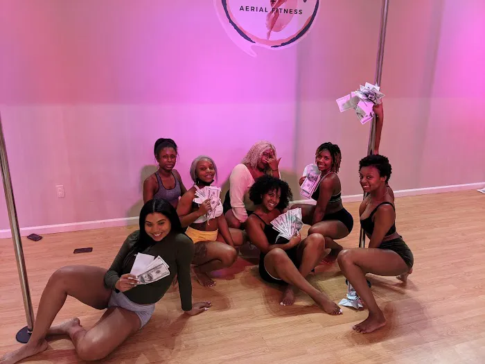 Spice Pole + Aerial Fitness Picture 5