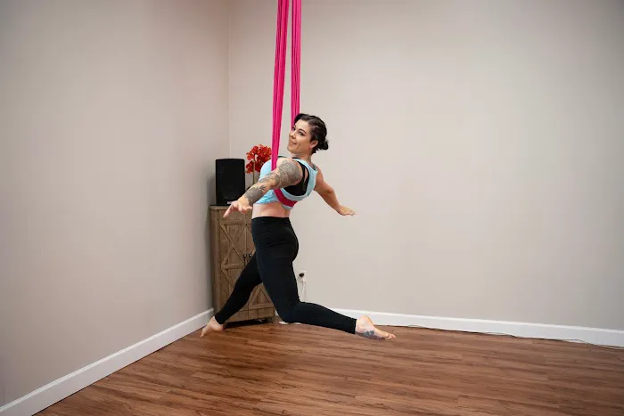 Spice Pole + Aerial Fitness Picture 8