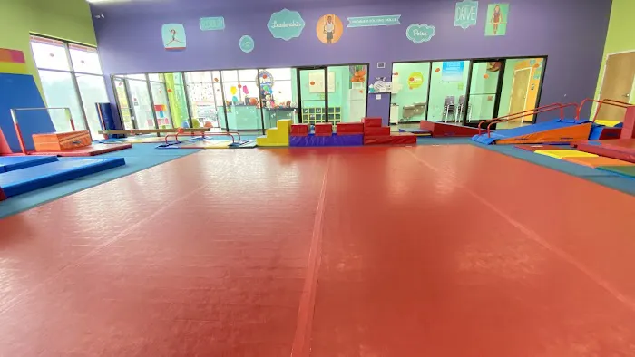 The Little Gym of Jacksonville, NC Picture 1