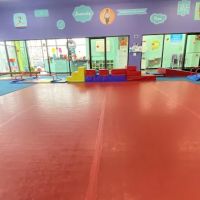 The Little Gym of Jacksonville, NC ico