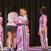 Dance Theatre of Jacksonville ico