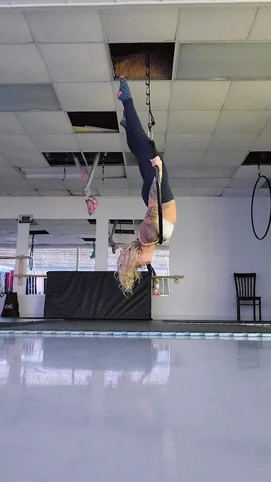 Studio 360 Pole Fitness, dance and gym Picture 1
