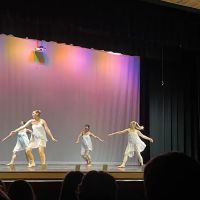 Swansboro Dance Studio ico