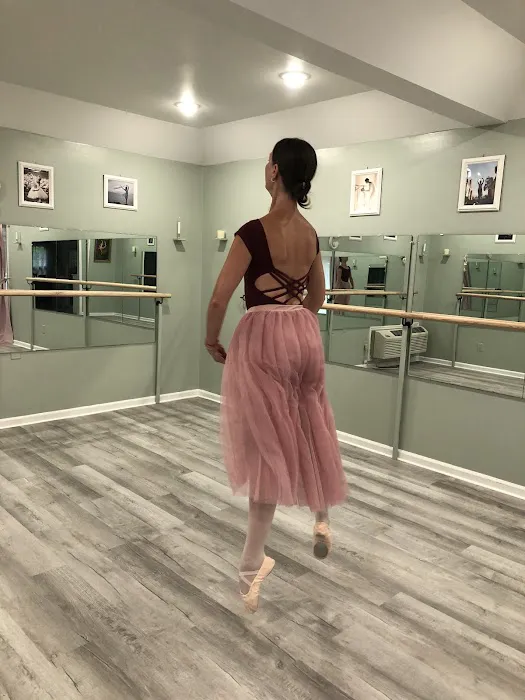Dance Studio Elegance Picture 2
