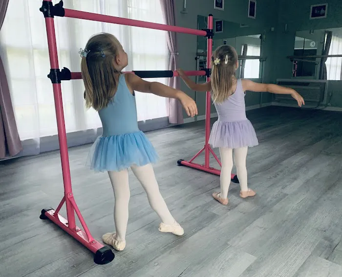 Dance Studio Elegance Picture 4