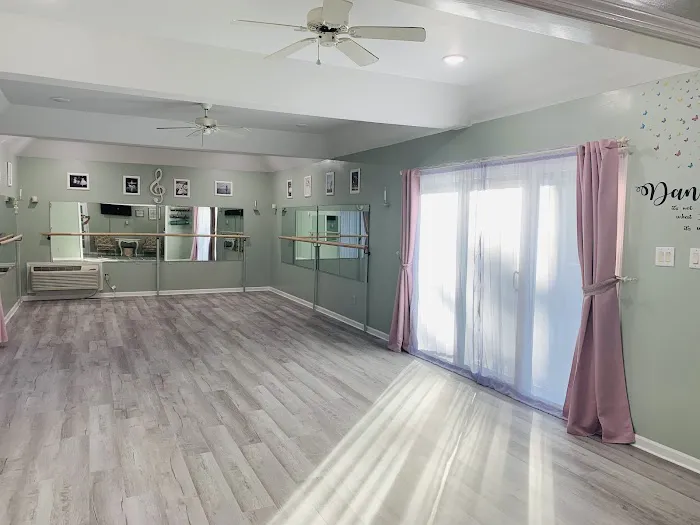 Dance Studio Elegance Picture 5