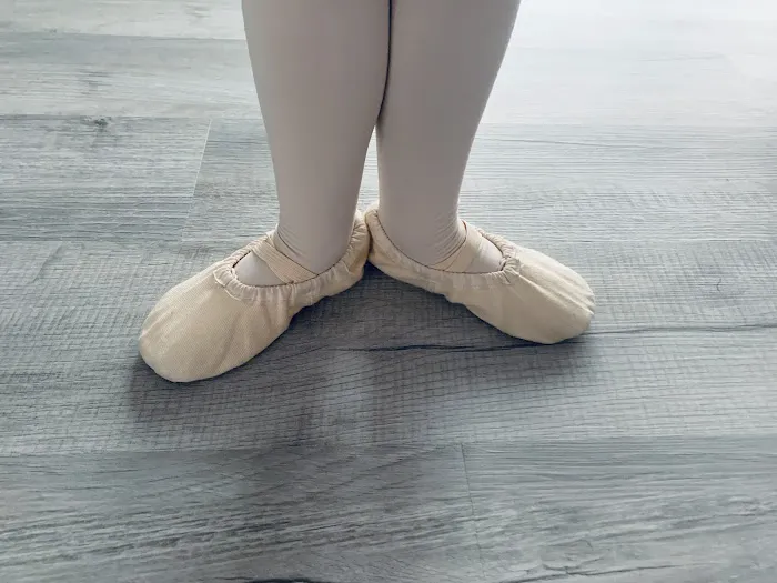 Dance Studio Elegance Picture 6