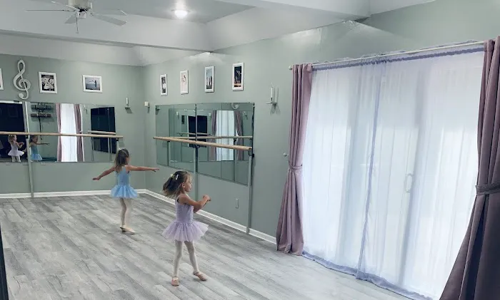 Dance Studio Elegance Picture 9