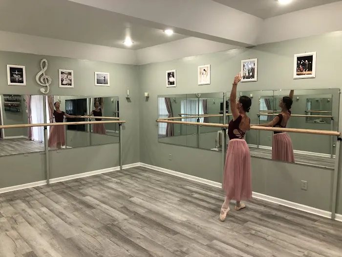 Dance Studio Elegance Picture 8