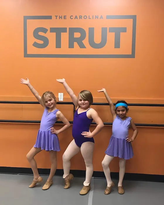 The Carolina Strut Performing Arts Centre' Picture 8