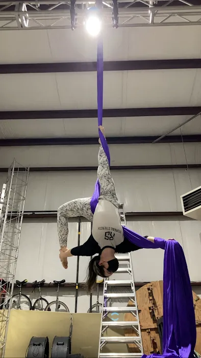 Dragonfly Aerial & Circus Arts Studio Picture 2
