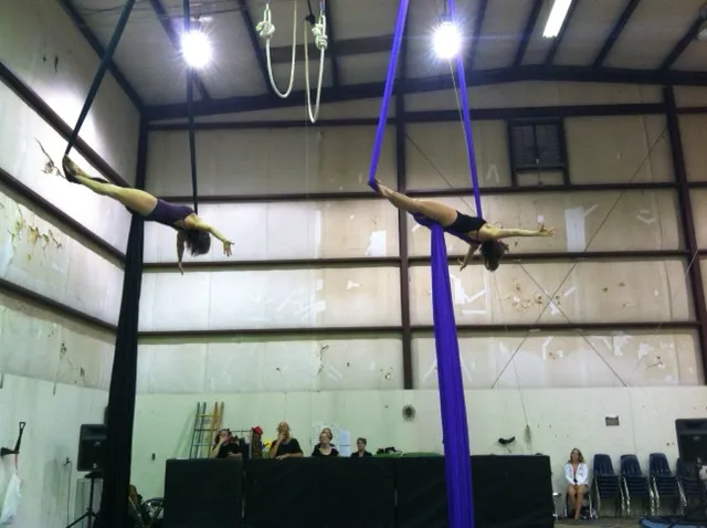 Dragonfly Aerial & Circus Arts Studio Picture 1