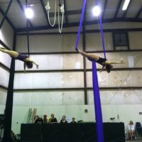 Dragonfly Aerial & Circus Arts Studio ico