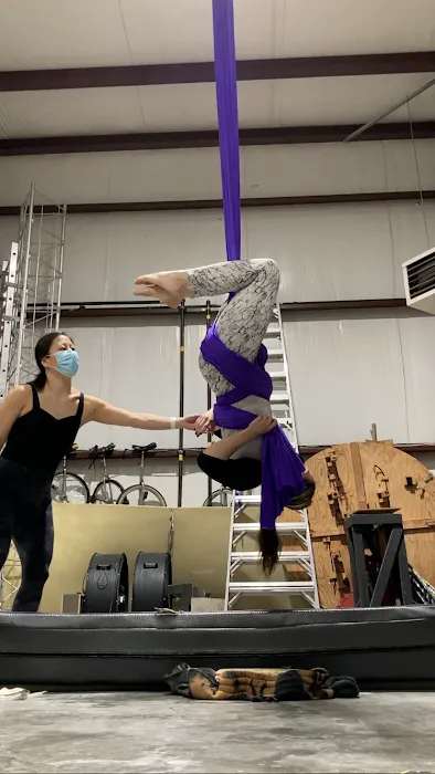 Dragonfly Aerial & Circus Arts Studio Picture 4